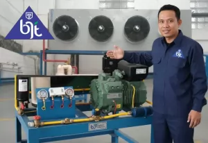 Solusi Cold Storage Freezer untuk Produk Beku